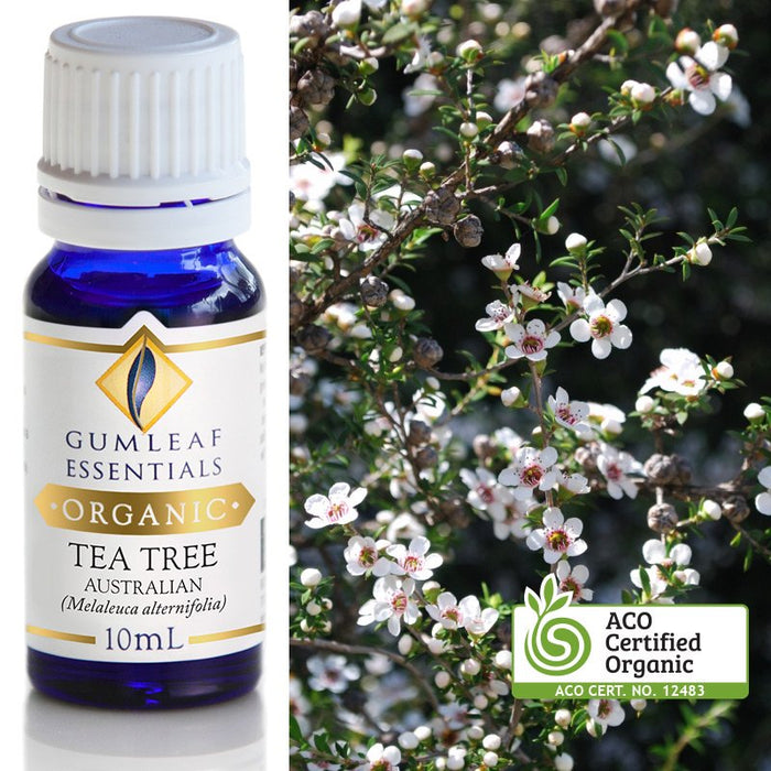 Organic Tea Tree Australian Essential Oil