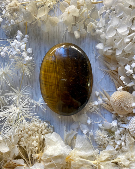 tiger eye palm stone