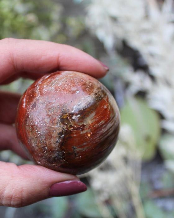 Petrified Wood Spheres