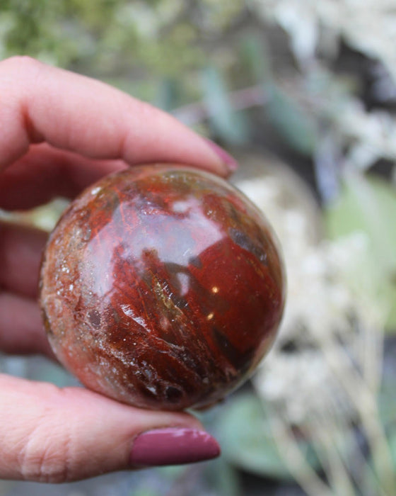 Petrified Wood Spheres