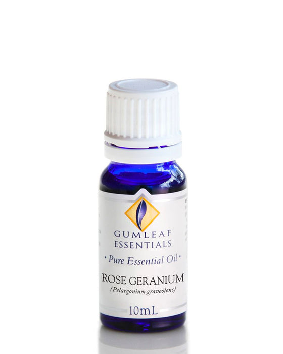 Rose Geranium Essential Oil