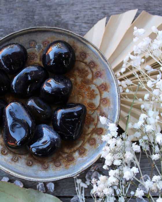 shungite tumbled