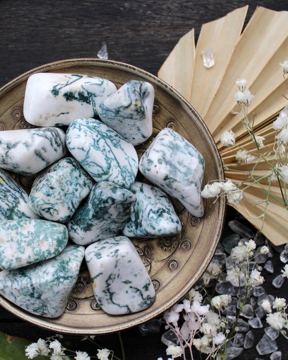 Tree Agate tumbled